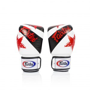 Fairtex Microfiber Boxing Gloves Muay Thai Boxing BGV1 White Nation Gloves
