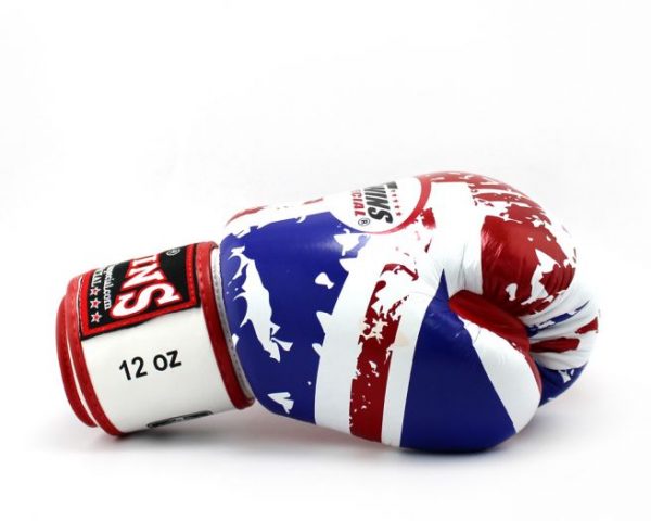 Twins Boxing Gloves-FBGV-44-UK White