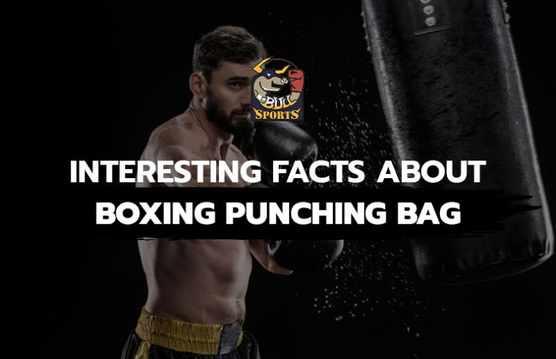 Interesting Facts about Boxing Punching Bag