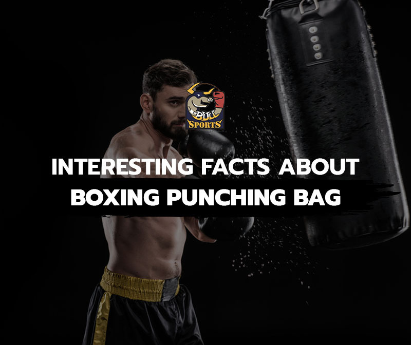 Interesting Facts about Boxing Punching Bag