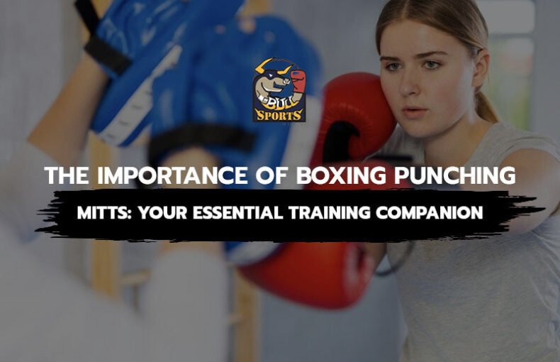 The Importance of Boxing Punching Mitts