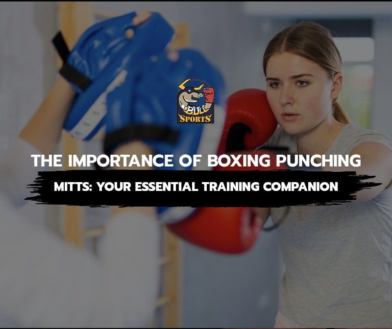 The Importance of Boxing Punching Mitts