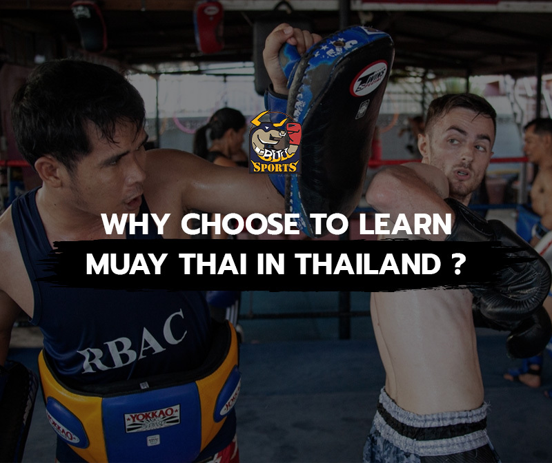 Why Choose to Learn Muay Thai in Thailand ?