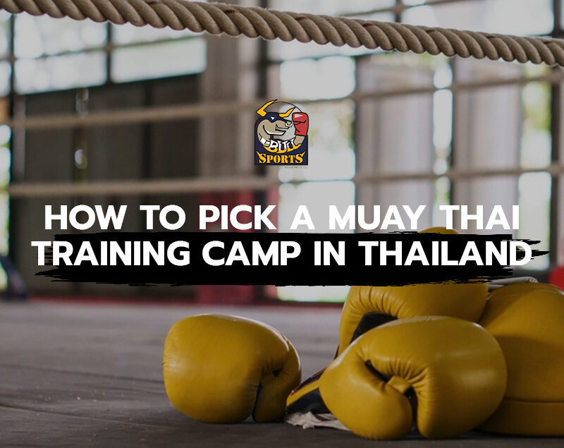 How To Pick a Muay Thai Training Camp in Thailand