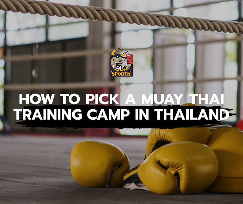 How To Pick a Muay Thai Training Camp in Thailand